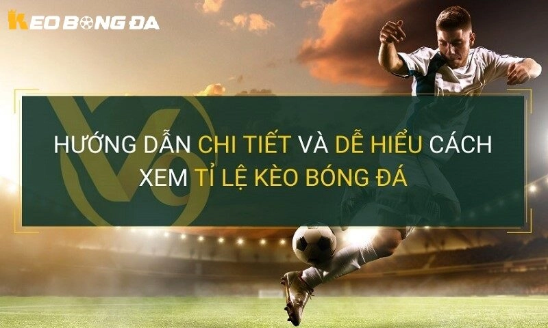 Hướng dẫn đọc và hiểu tỷ lệ kèo bóng đá chi tiết